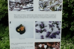 2018 jardin botanique