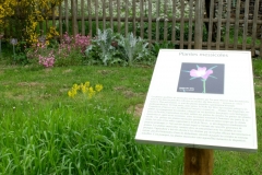2018 jardin botanique