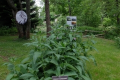 2018 jardin botanique