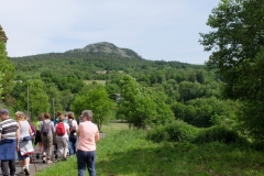 randotourisme-fôret-du-Lizieux-randonnée-