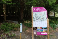 randotourisme-fôret-du-Lizieux-respirando