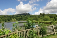 randotourisme-le-Bouchat-La-pêche-aux-étangs
